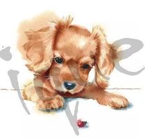 Serviette puppy & ladybird (1477) 2Stk.