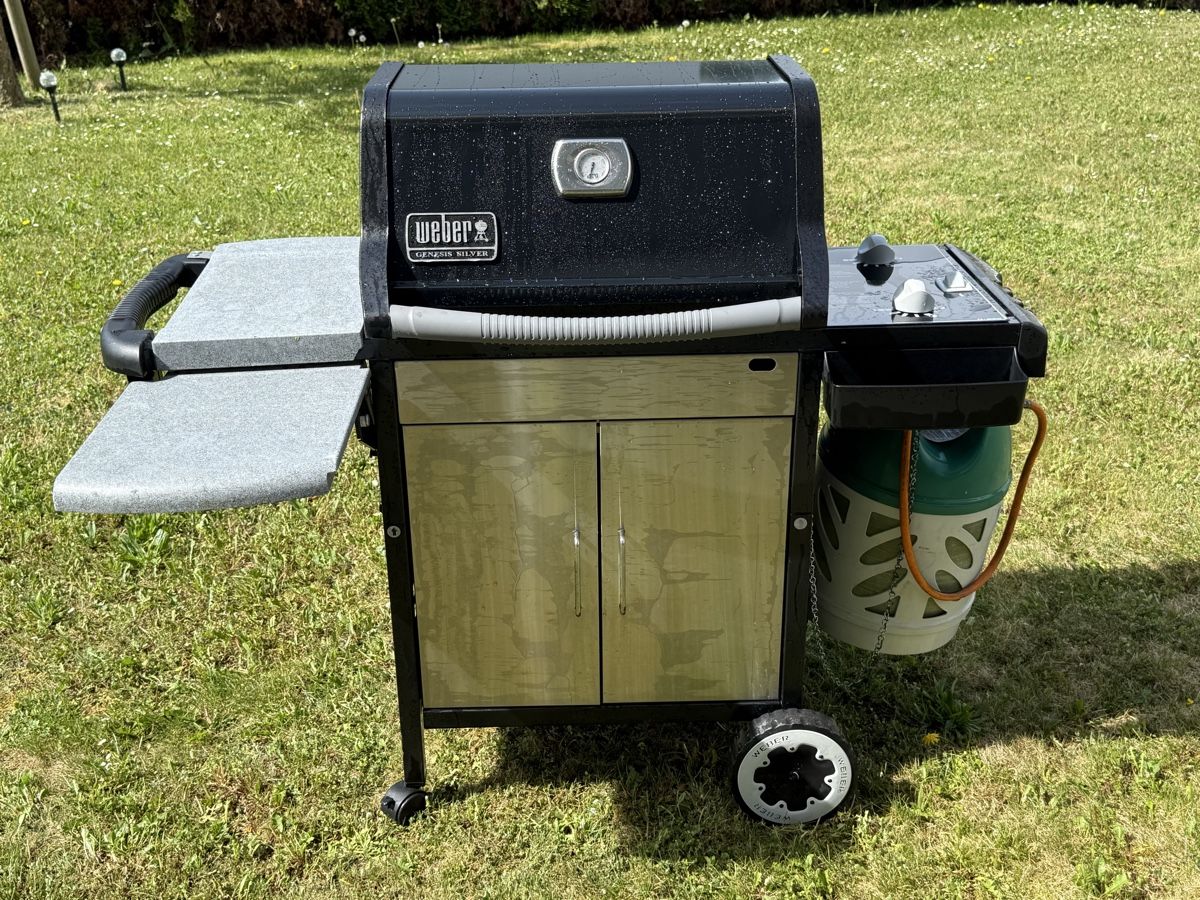 Griglie: Weber Grill – Usato da Gachnang venduto da redalf