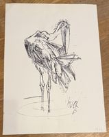 Zeichnung Fritz Hug Vogel 1962