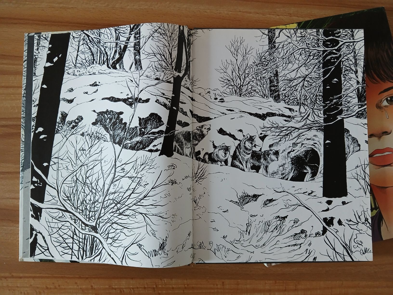 Fumetti: Tomes 1 et 2 de la bande dessinée Lova. – Usato da Le Sentier venduto da arc_2thy 1