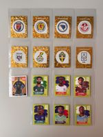 Panini WM Sticker 2026 15x