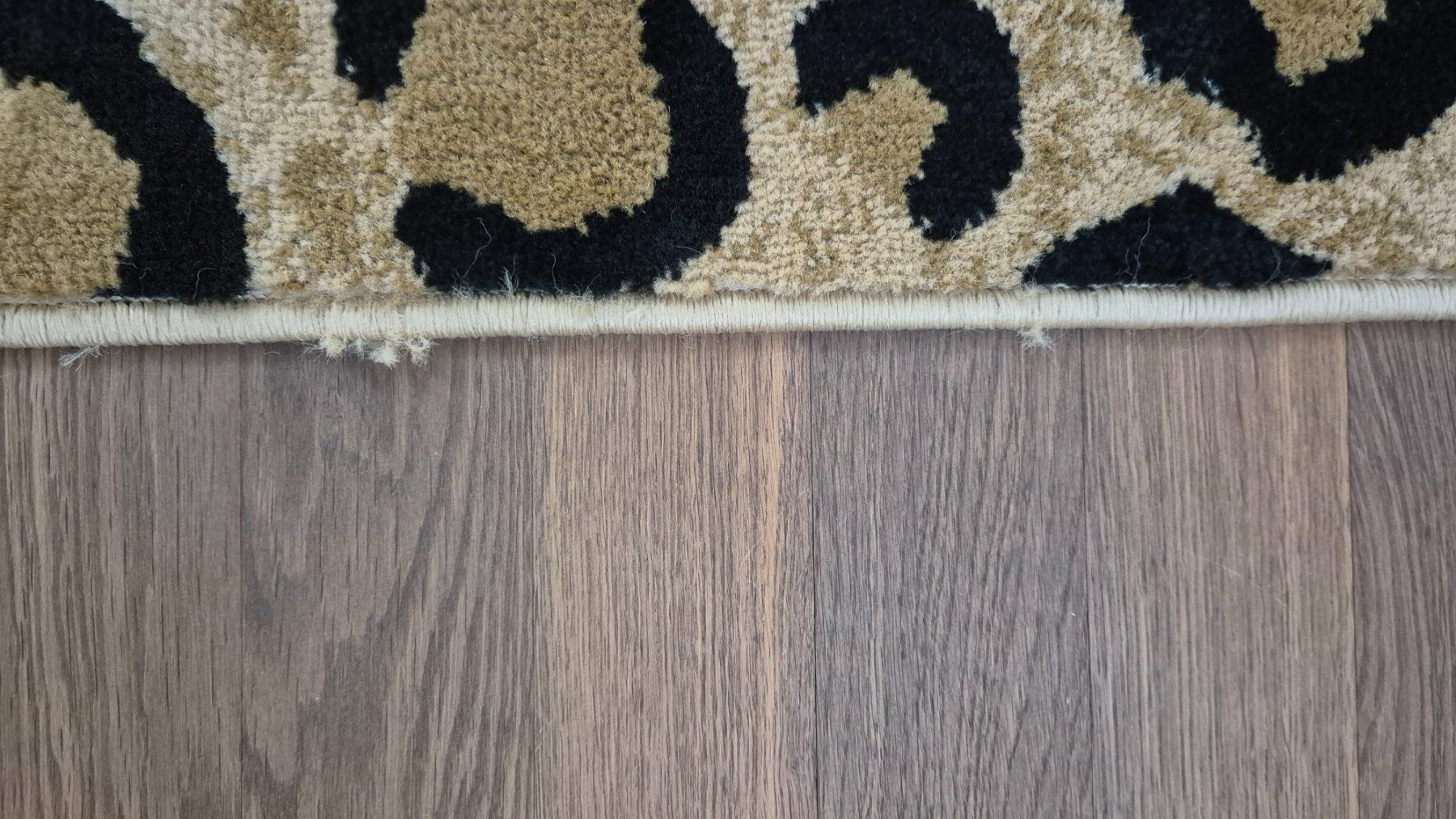 Tapis: Leopard short pile rug 212x308cm – D'occasion à Zürich par monadiederich 2