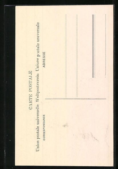 Cartes postales: AK Auvernier, Hotel du Lac – D'occasion à Berlin par bartko-reher 1