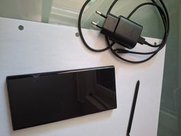 Samsung S22 Ultra, Defekt Display
