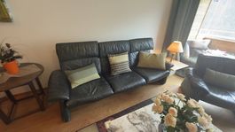 Design Leder-Sitzgruppe aus Rindsleder