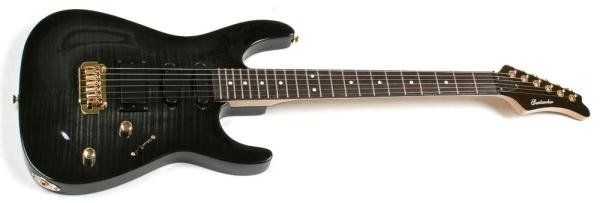 Strumenti musicali: Heavy E- Gitarre mit Flamed Maple Decke – Nuovo e nell'imballaggio originale da Lostallo venduto da Guddah78