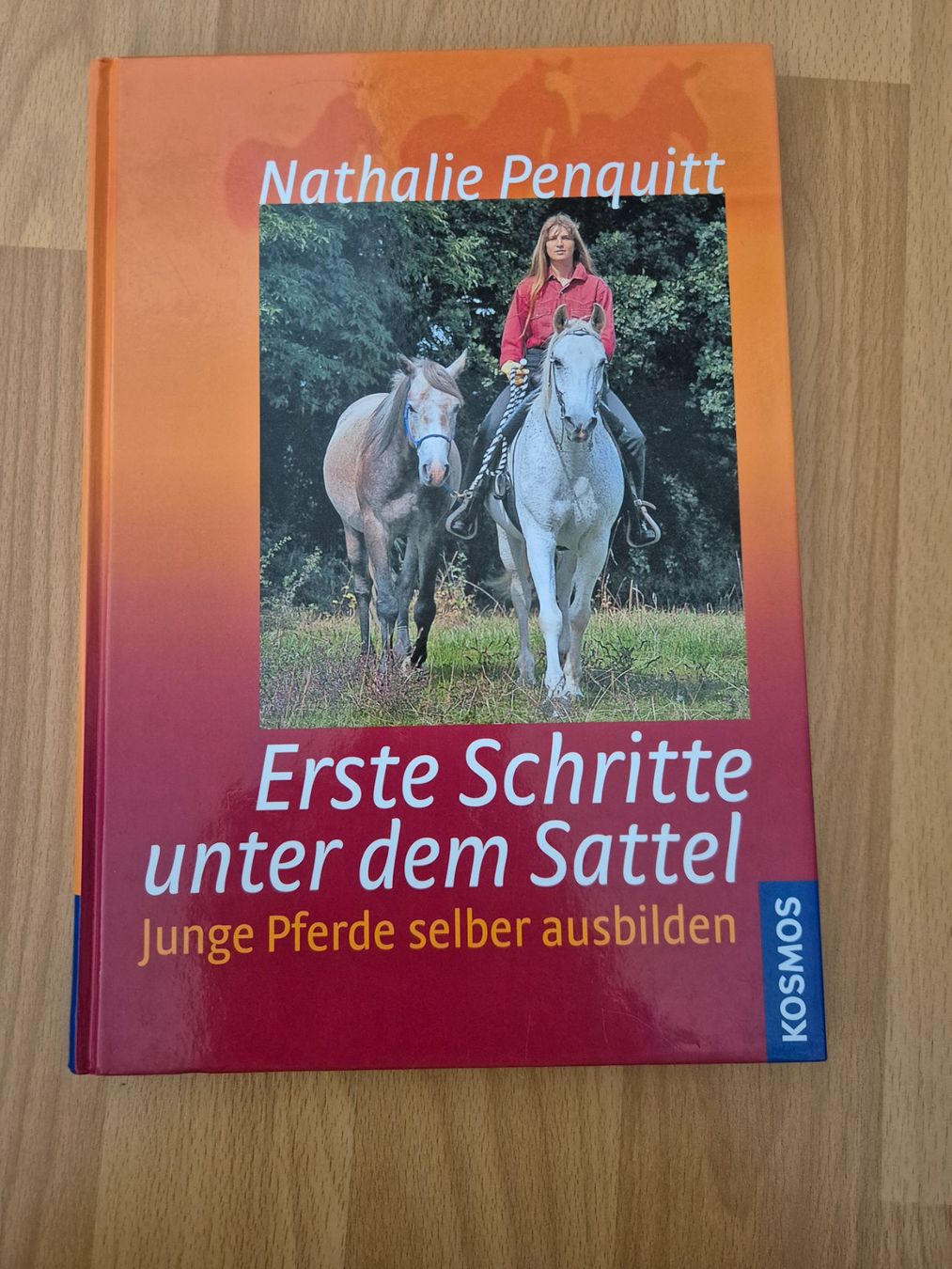 Brides, licols: Pferdefachbuch – D'occasion à Meggen par Orrinka20