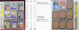 Magic The Gathering #6 Ordner: 440 Karten & Total 230 Bilder
