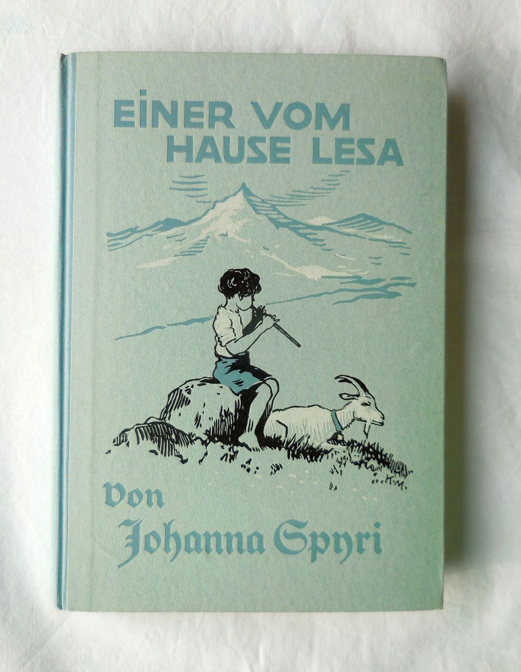 Bücher: Buch Einer vom Hause Lesa – Gebraucht aus Trasadingen von Traadinger