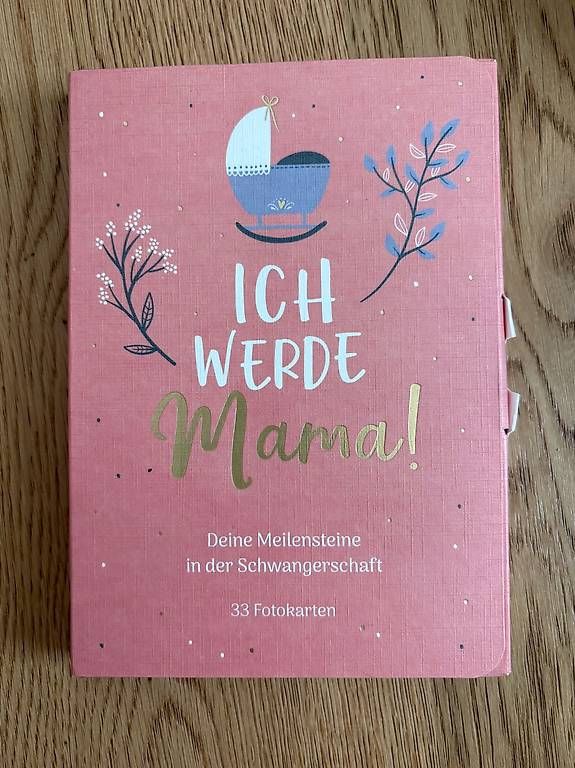 Libri: Meilensteine Schwangerschaft – Usato da Liebefeld venduto da schoggiananas