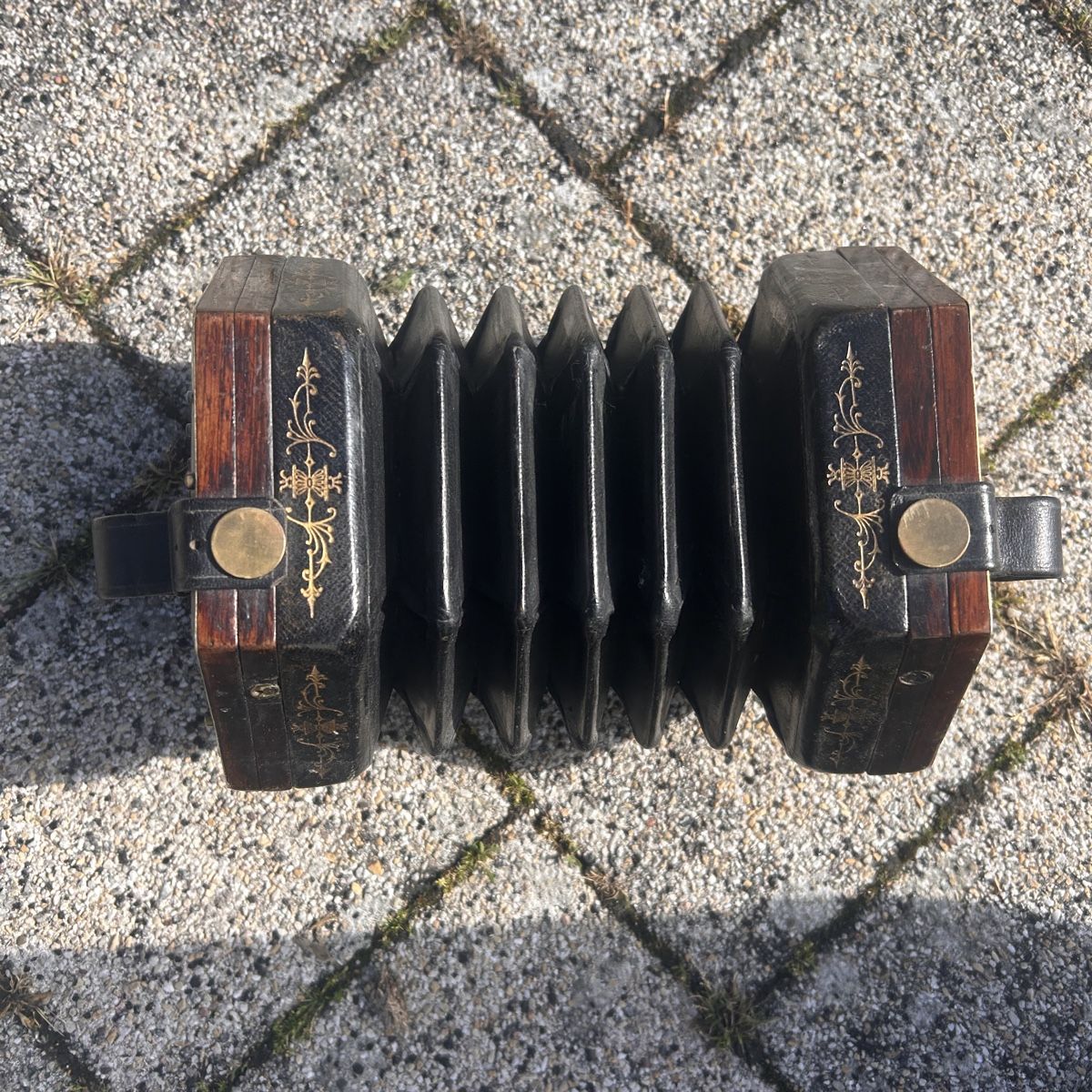Strumenti musicali: Englische  oder Französische Concertina – Usato da Laufen venduto da belleskulptur 6
