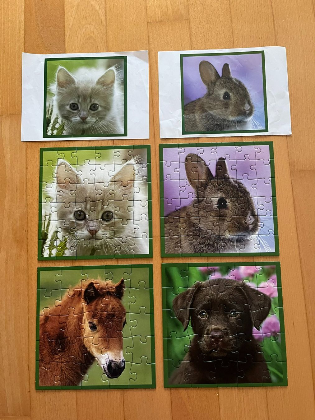 Puzzles: 4 Puzzles - Tierkinder im Freien – Gebraucht aus Muttenz von Juvenile33 6