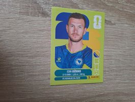 BIH 18