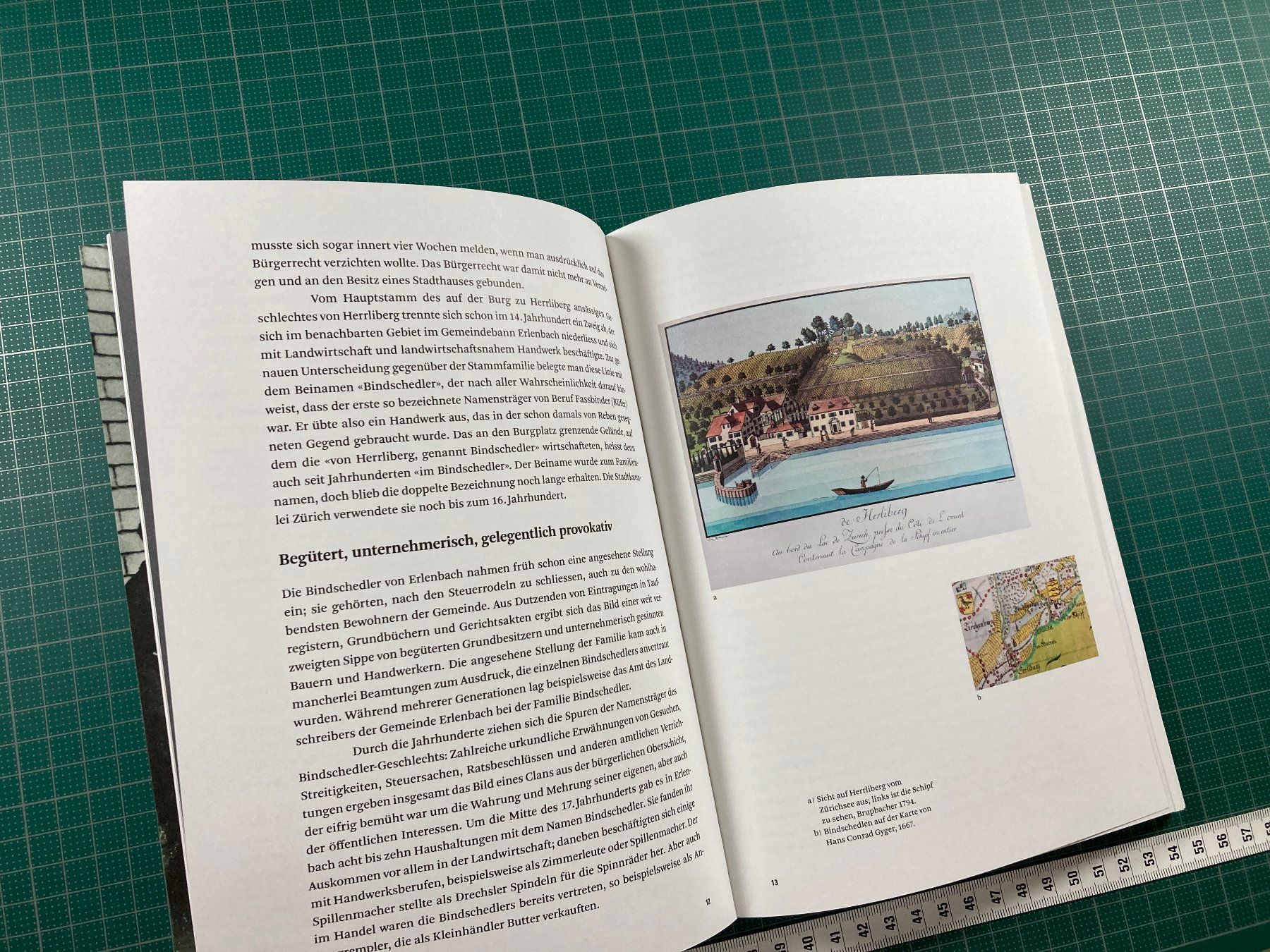 Bücher: Die Bindschedlers - Bürgersinn, Wagemut, Innovation – Gebraucht aus Lenzburg von fh1 3