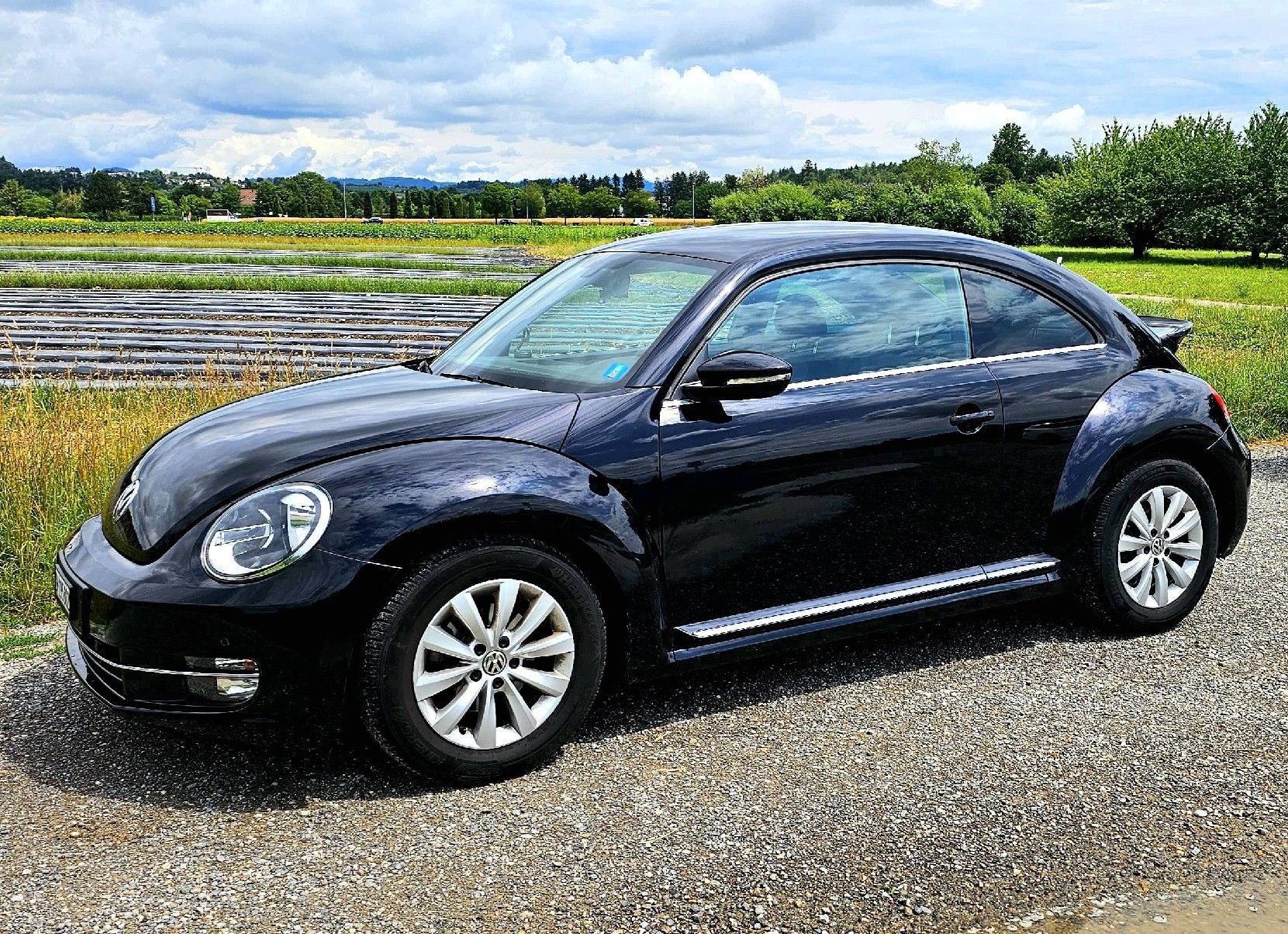 VW Automobili: VW Beetle 1.2 TSI 2.Hand 106k km – Usato da Uster venduto da dan_gq9b