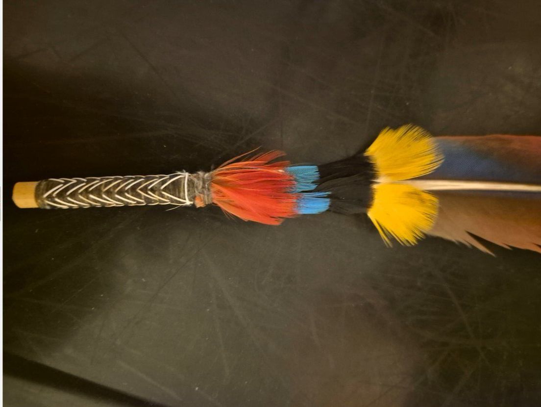 Il mondo degli animali: Plume d'ara décorative d'amazonie – Usato da Biel/Bienne venduto da guyw 1