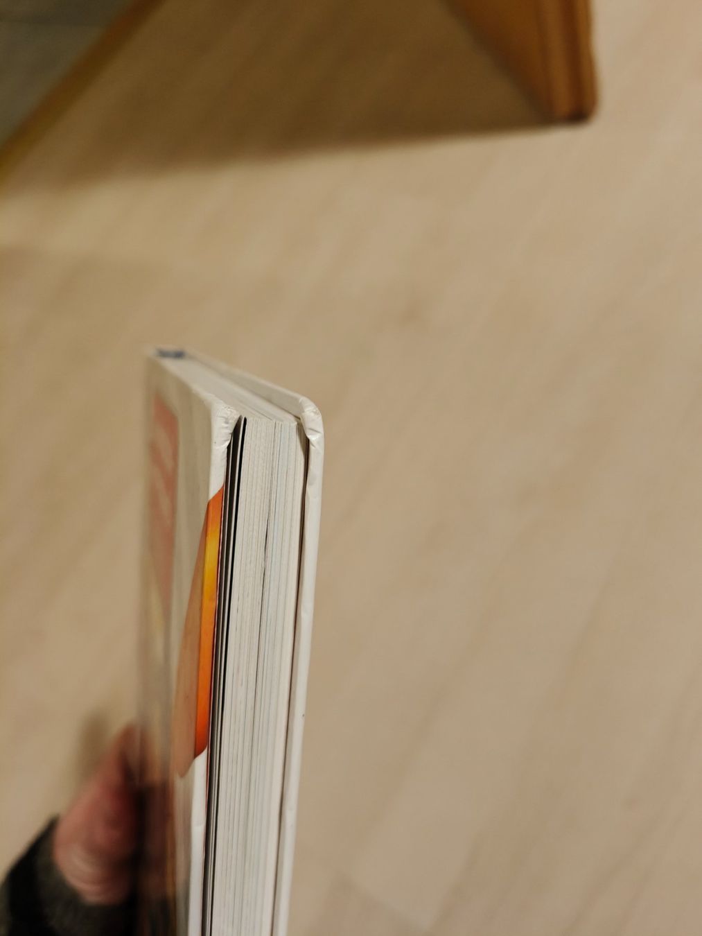 Libri: Tiptoi Grundschulwörterbuch Englisch – Usato da Uetendorf venduto da oinkioink88 4