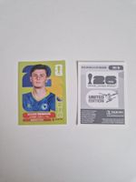 Panini Sticker BIH9