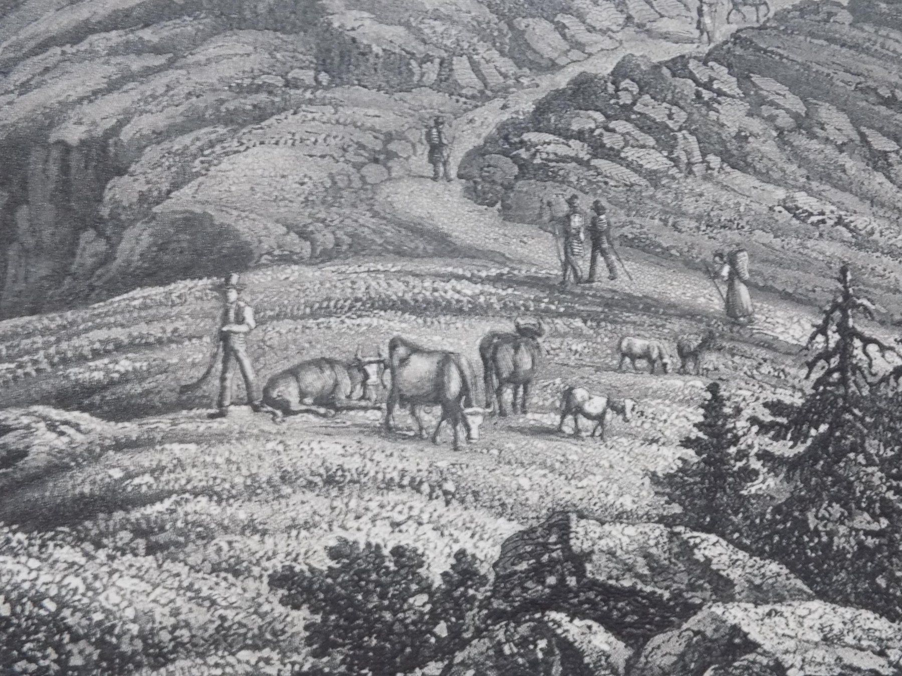 Gravures: Rigi Kulm – D'occasion à Risch par Rischli15 6