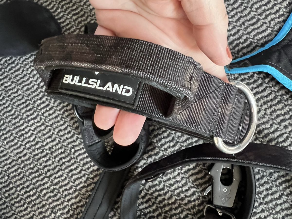Guinzagli & Collari: Hundehalsband und Leine – Usato da Biel-Benken BL venduto da zuza