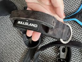 Hundehalsband und Leine