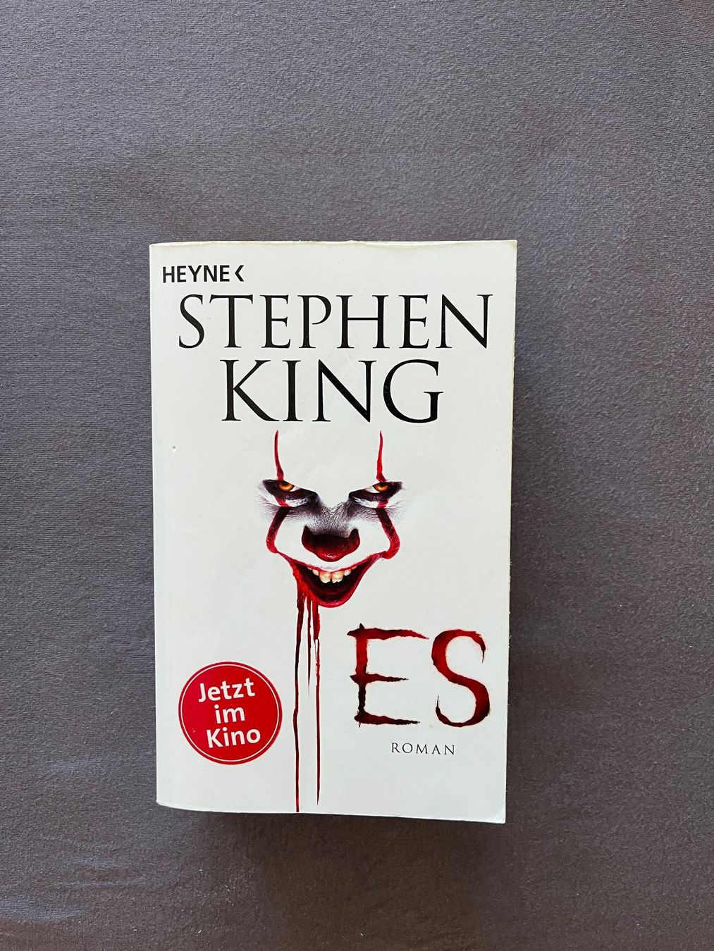 Libri: Buch ES - Stephen King – Usato da Winikon venduto da Lukiwyss2000