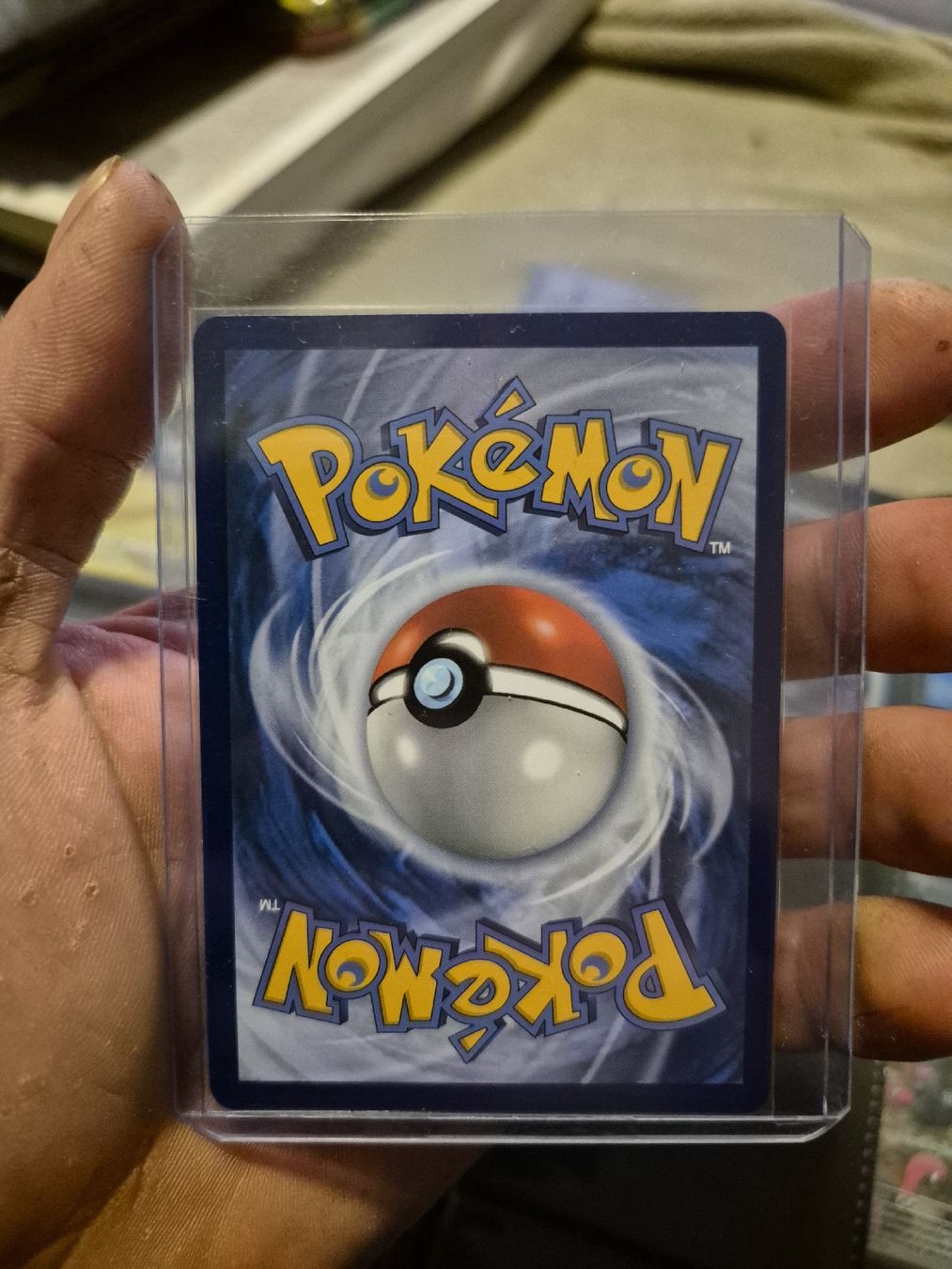 Pokémon Carte collezionabili: Mega Sharpedo EX - Seltene Pokémon Karte - Top Zustand! – Nuovo (secondo la descrizione) da Rorbas venduto da han_56g9 1