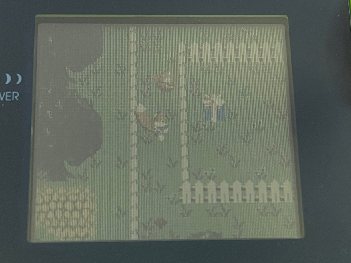 Nintendo Giochi: Conker's Pocket Tales - Game Boy Color – Usato da Zuerich venduto da Dorsi 7