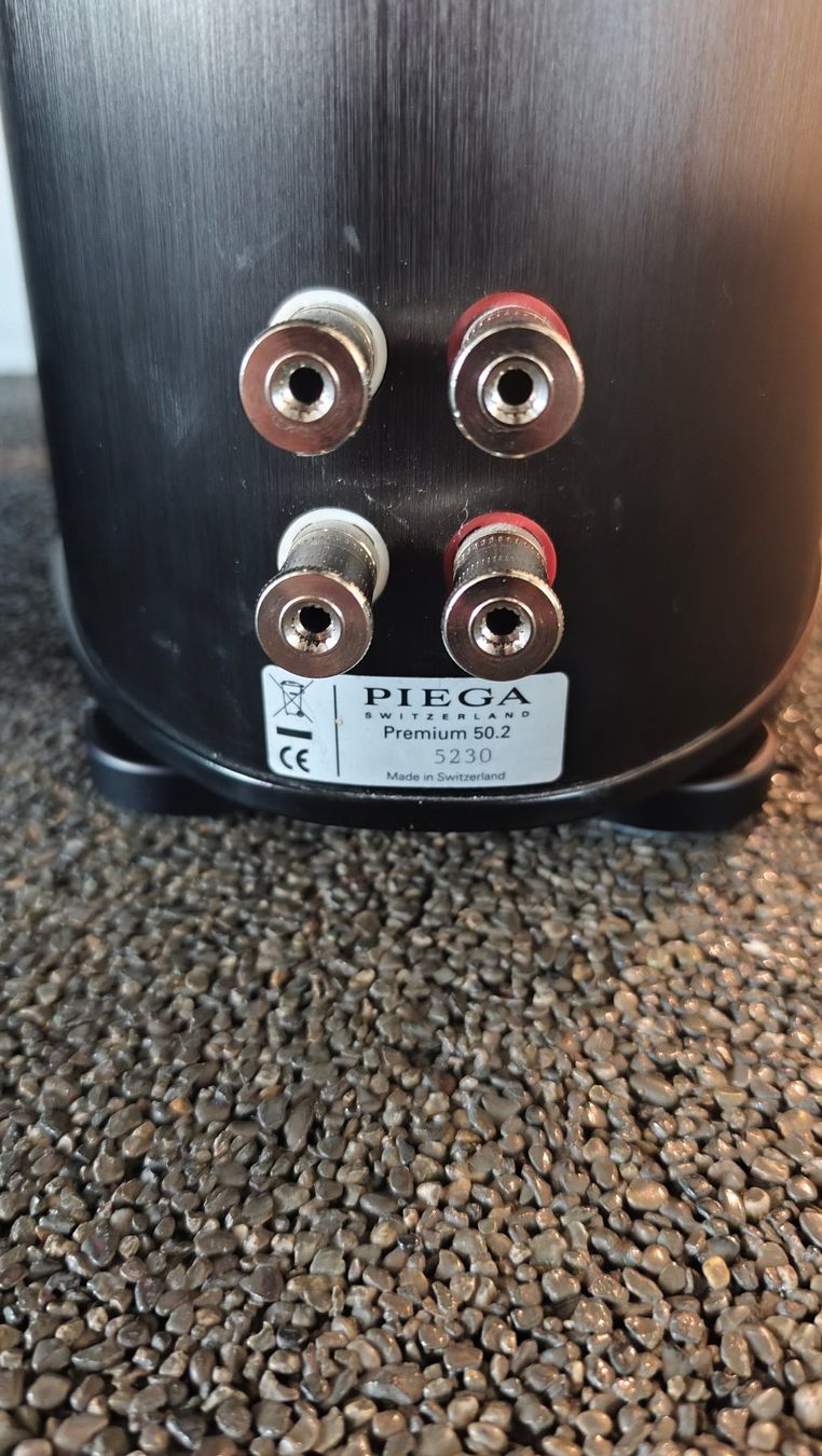Piega Haut-parleurs: Piega Premium 50.2 – D'occasion à Toffen par RohrerHiFiAG 5