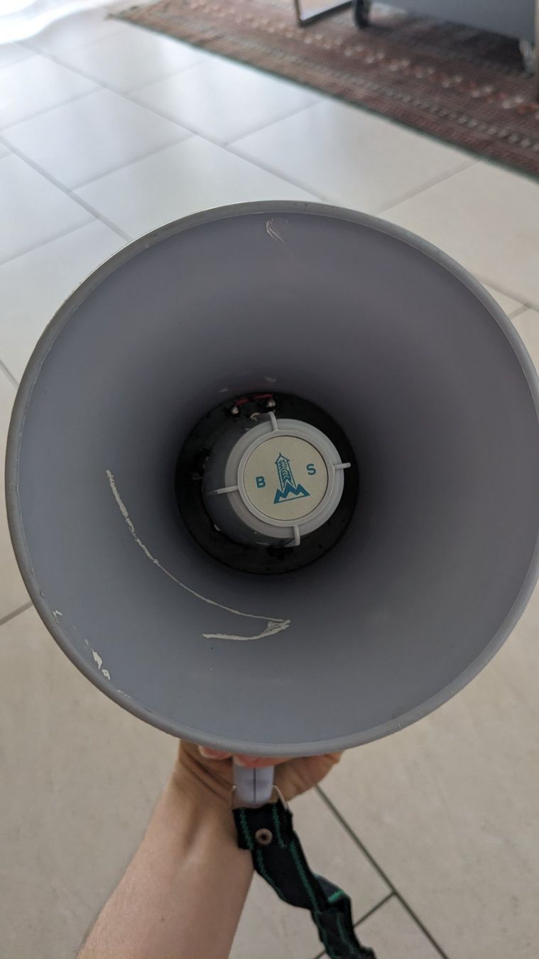 Casse acustiche: Megaphone – Usato da Wetzikon ZH venduto da V_SENN 4