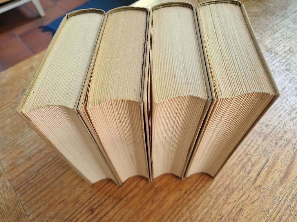 Libri: Der Stille Don, Michail Scholochow – Usato da Frick venduto da Connect9 2