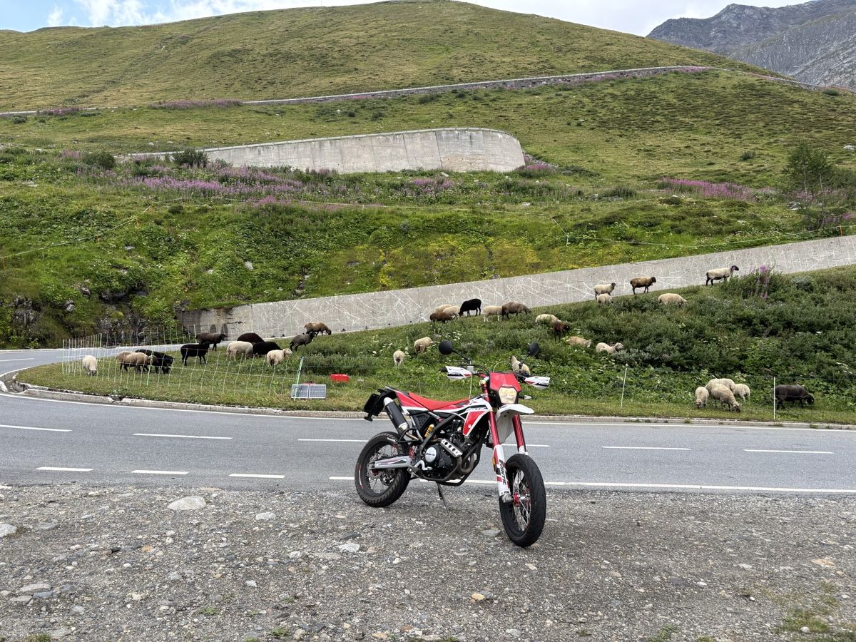 Fantic Route: Fantic zuverkaufen – D'occasion à Gunzwil par sil_g7xg 2