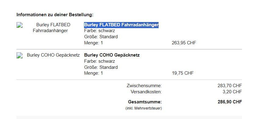 Burley Rimorchi: Burley Flatbad - Veloanhänger – Usato da Zürich venduto da Naggytaggy 3