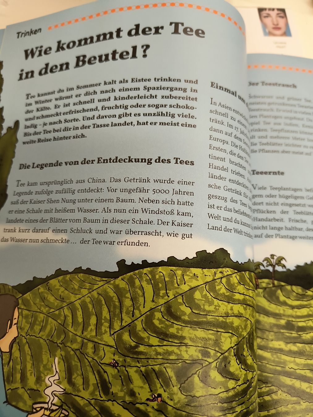 Libri: Wo kommt das her? Kinderbuch – Usato da Schöfflisdorf venduto da kin_2dp9 3