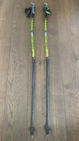 Gabel Skistock