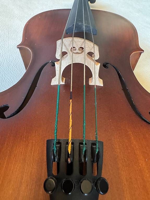 Strumenti musicali: Cello 1/4  – Usato da Embrach venduto da CarlosTF