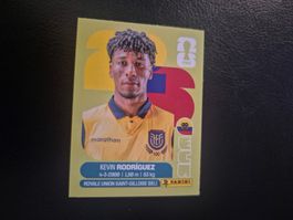 Panini WM 26 ECU 19