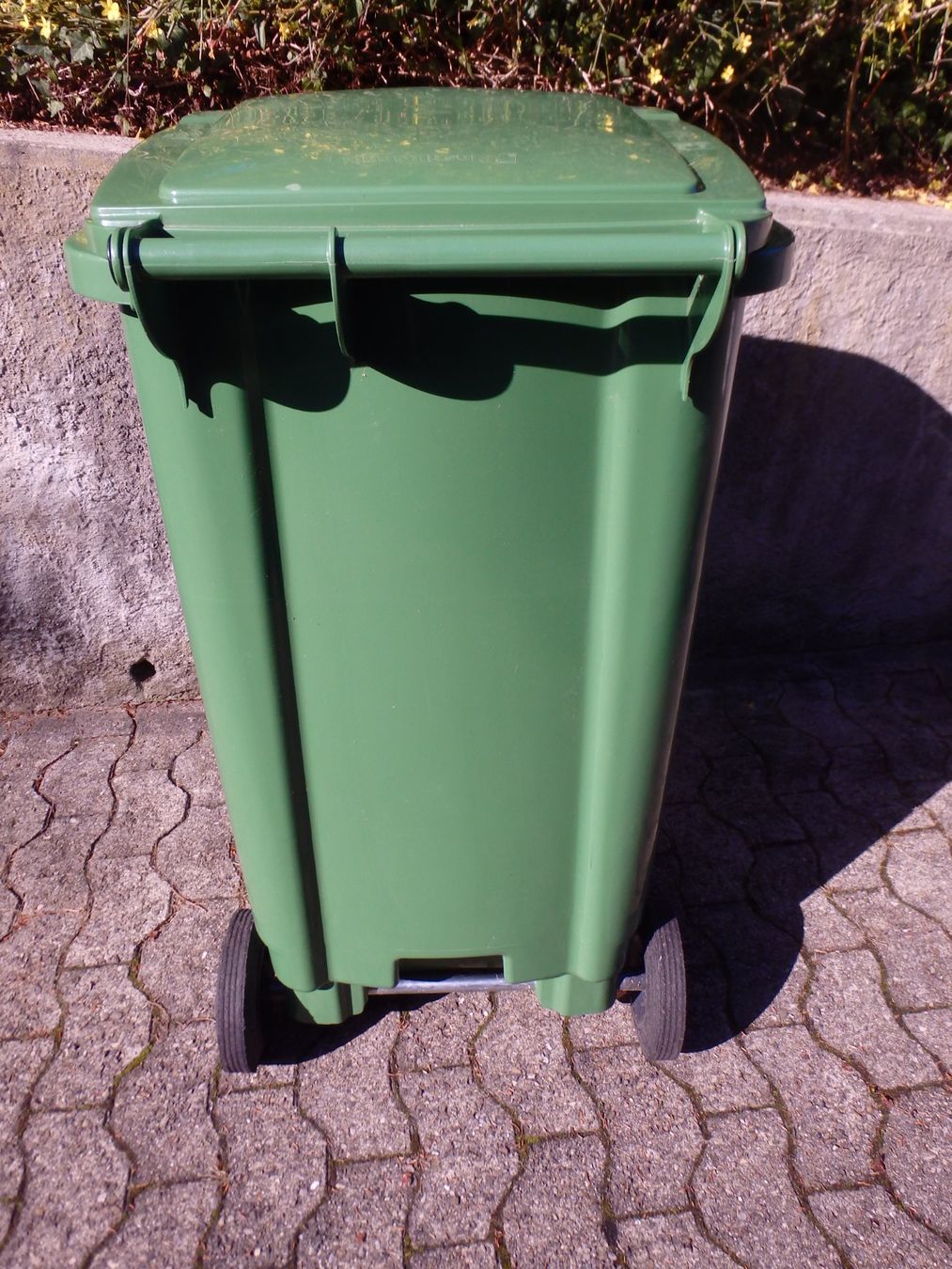 Banconi: Faserplast Grün Abfallcontainer/Mülltonne mit Rädern! – Usato da Schöfflisdorf venduto da pullux 5