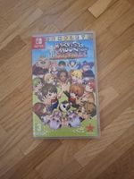 Harvest Moon Light Of Hope Spécial Édition - Nintendo Switch