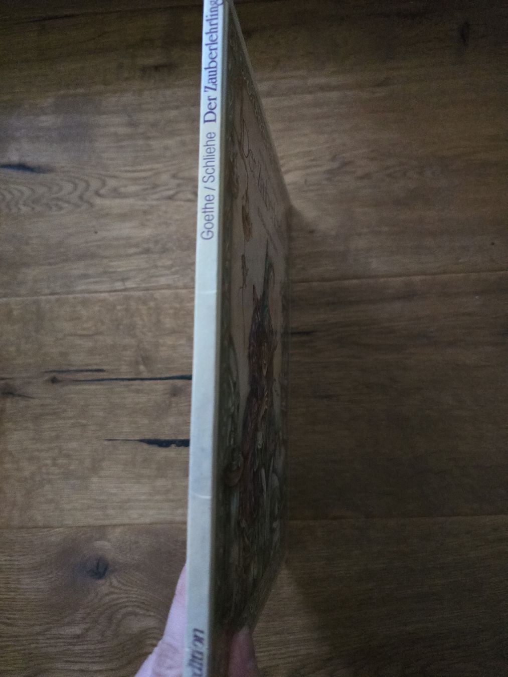 Libri: der zauberlehrling buch – Usato da Wittenbach venduto da Tigerlili 1