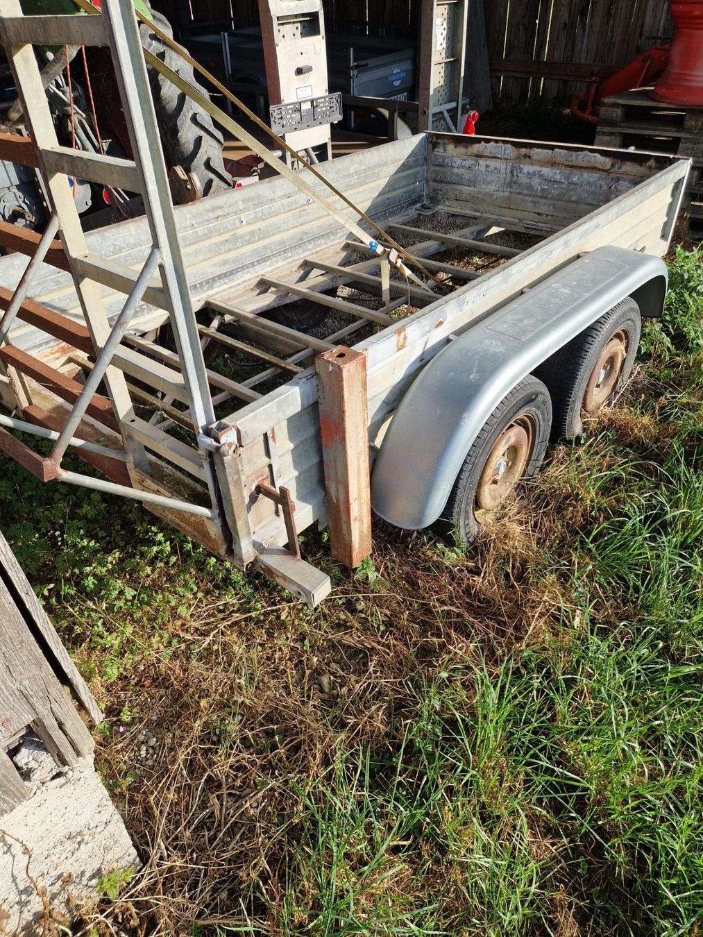 Steininger Anhänger: Autoanhänger Steininger 2000kg – Defekt aus Amlikon-Bissegg von Vario209 1