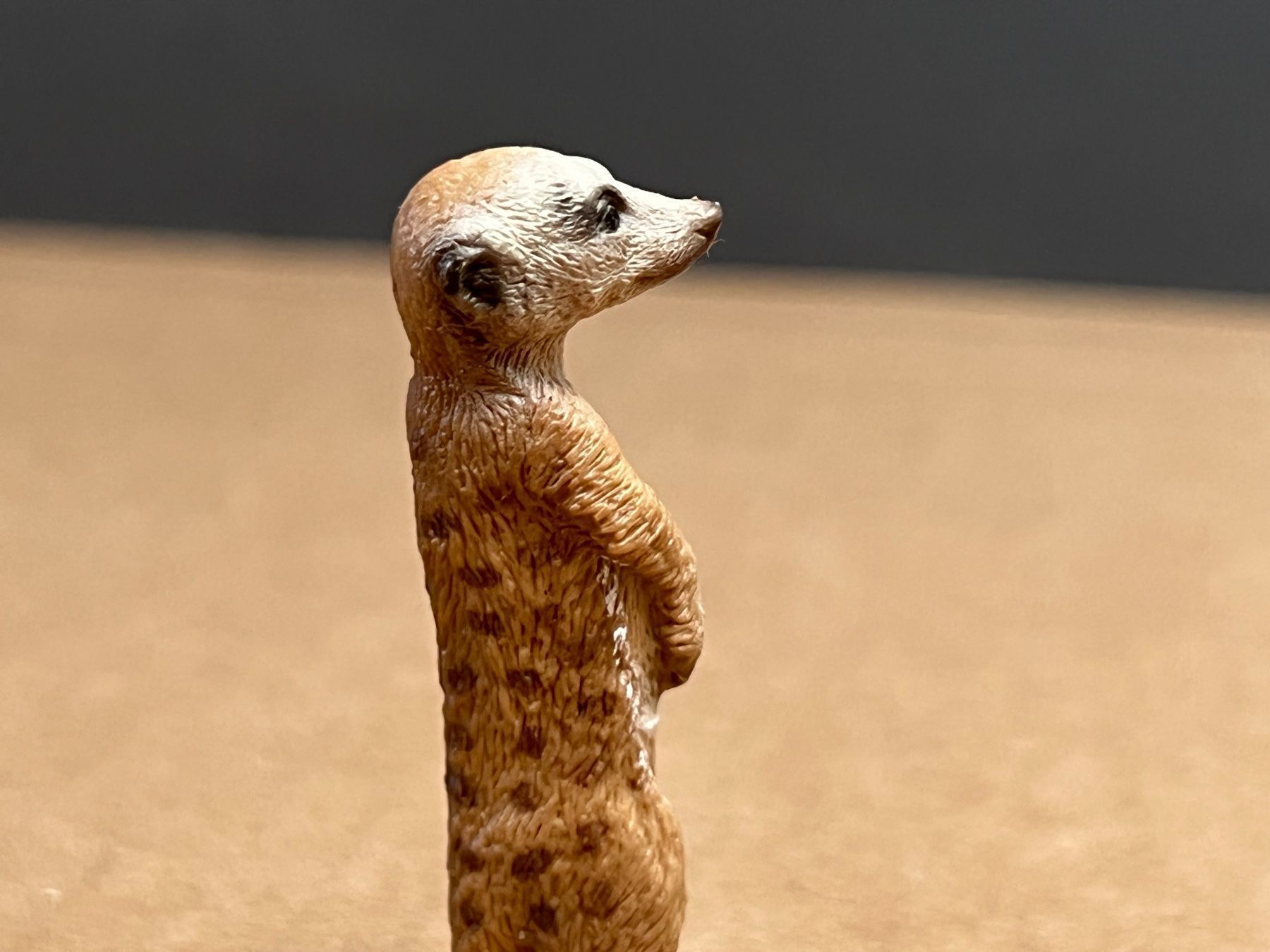 Schleich Statuette: Schleich 14368 Erdmännchen, stehend – Usato da Ennetbaden venduto da mapa05 6