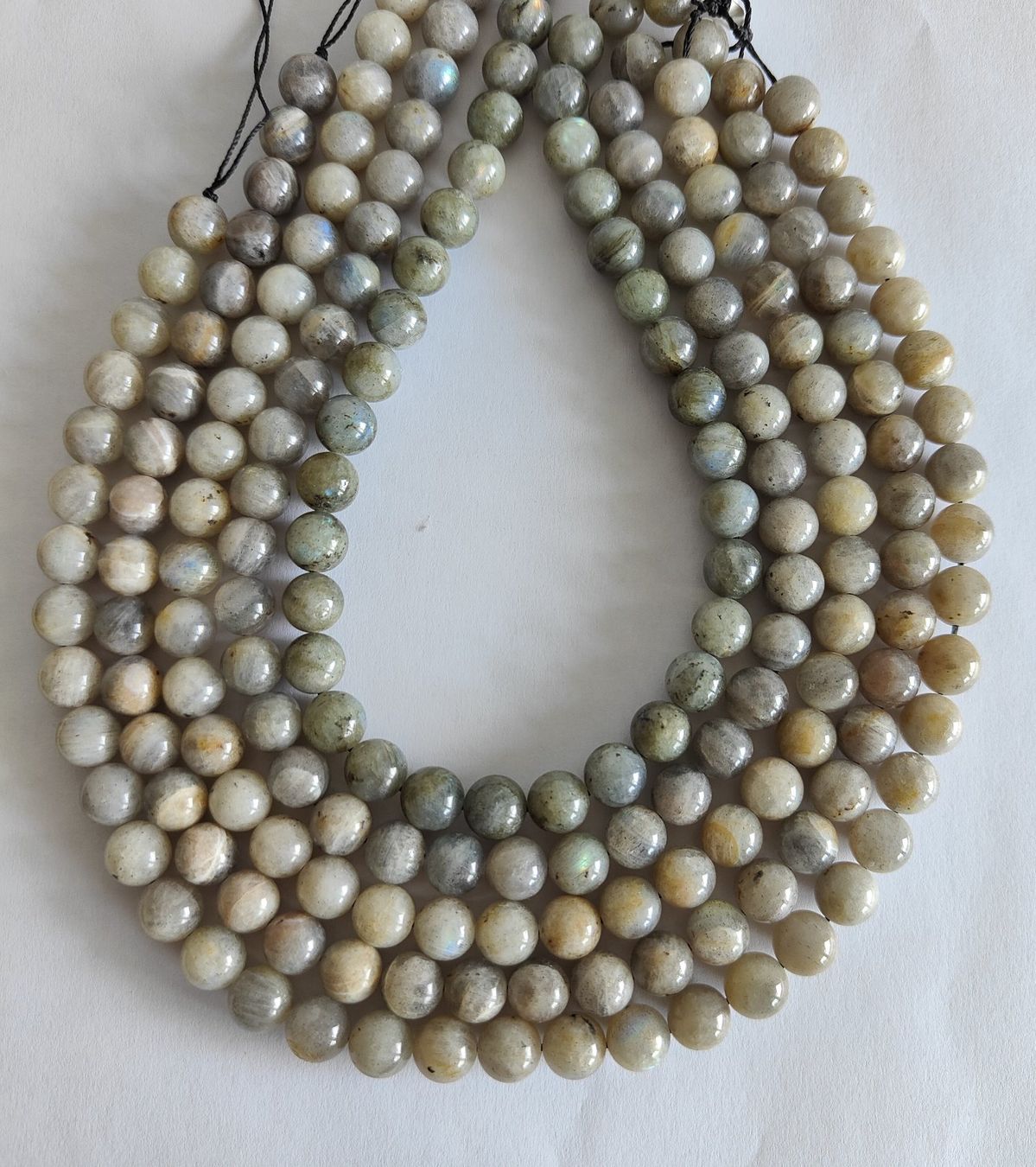 Pietre preziose: Labradorit, Beads 10mm, Strang – Nuovo e nell'imballaggio originale da Rümlang venduto da 21f 1