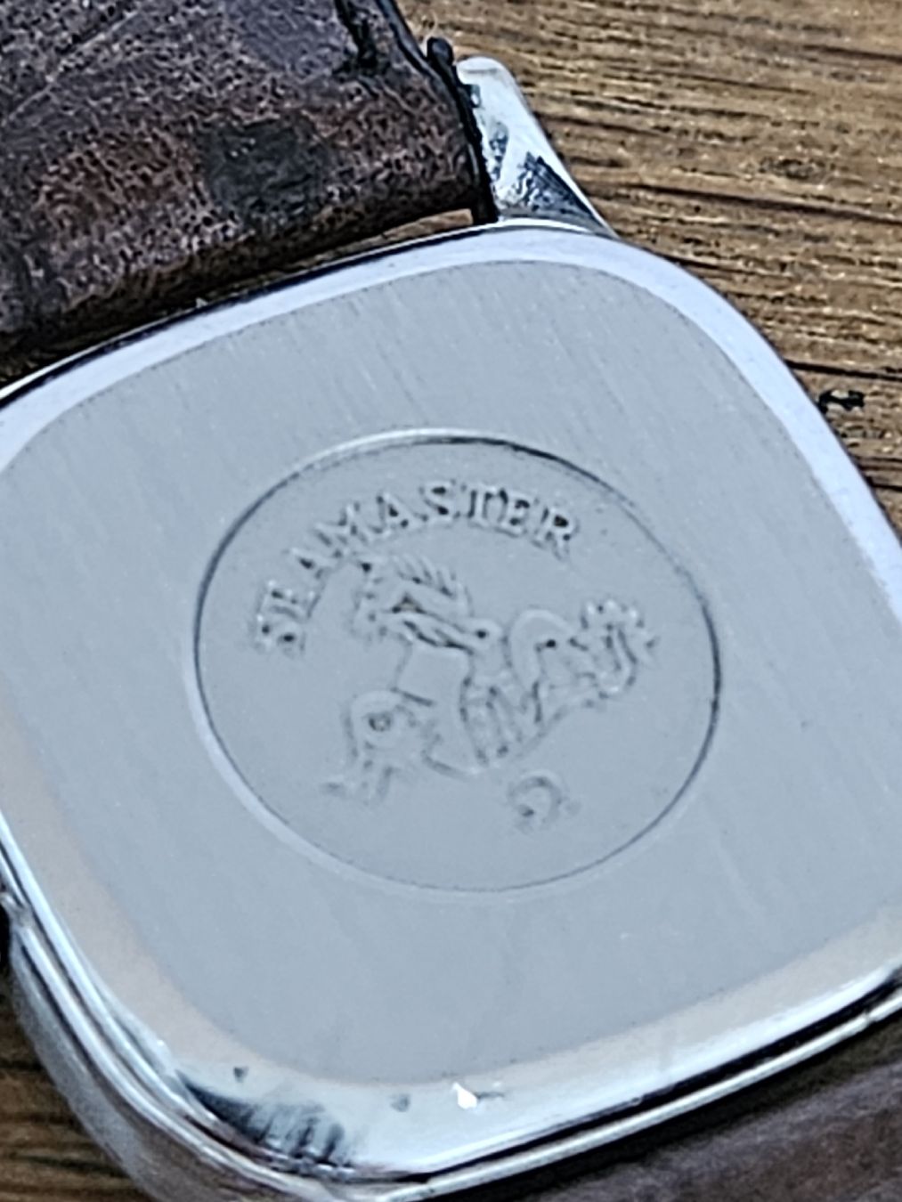Omega Uhren: Omega Seamaster Damenuhr 22mm – Gebraucht aus Flamatt von pie_f9zm 5
