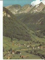 Stein 1978