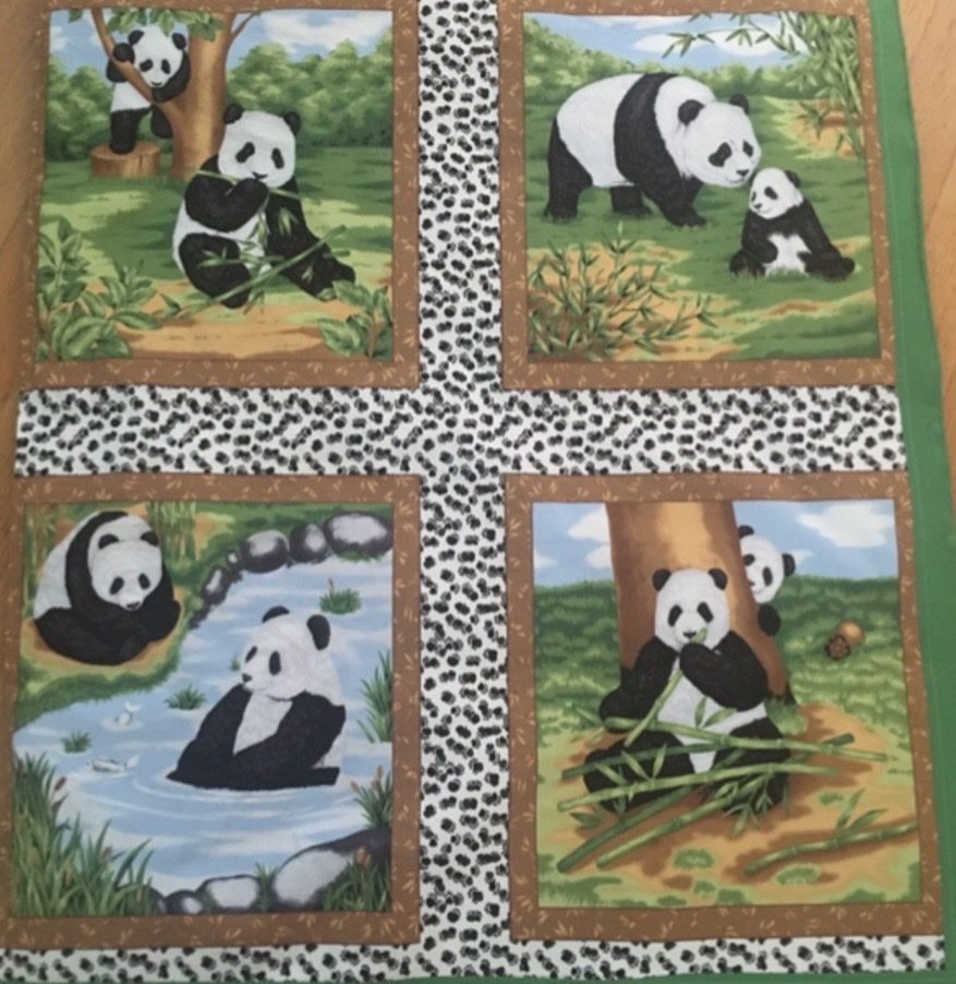 Tessuti: Patchworkstoff Pandabären – Nuovo (secondo la descrizione) da Seuzach venduto da KreativmitStoff