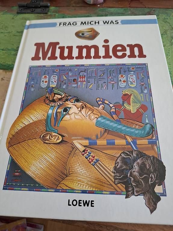 Libri: Kinder endecken die Welt Bücher – Usato da Pfäffikon SZ venduto da yello13 1