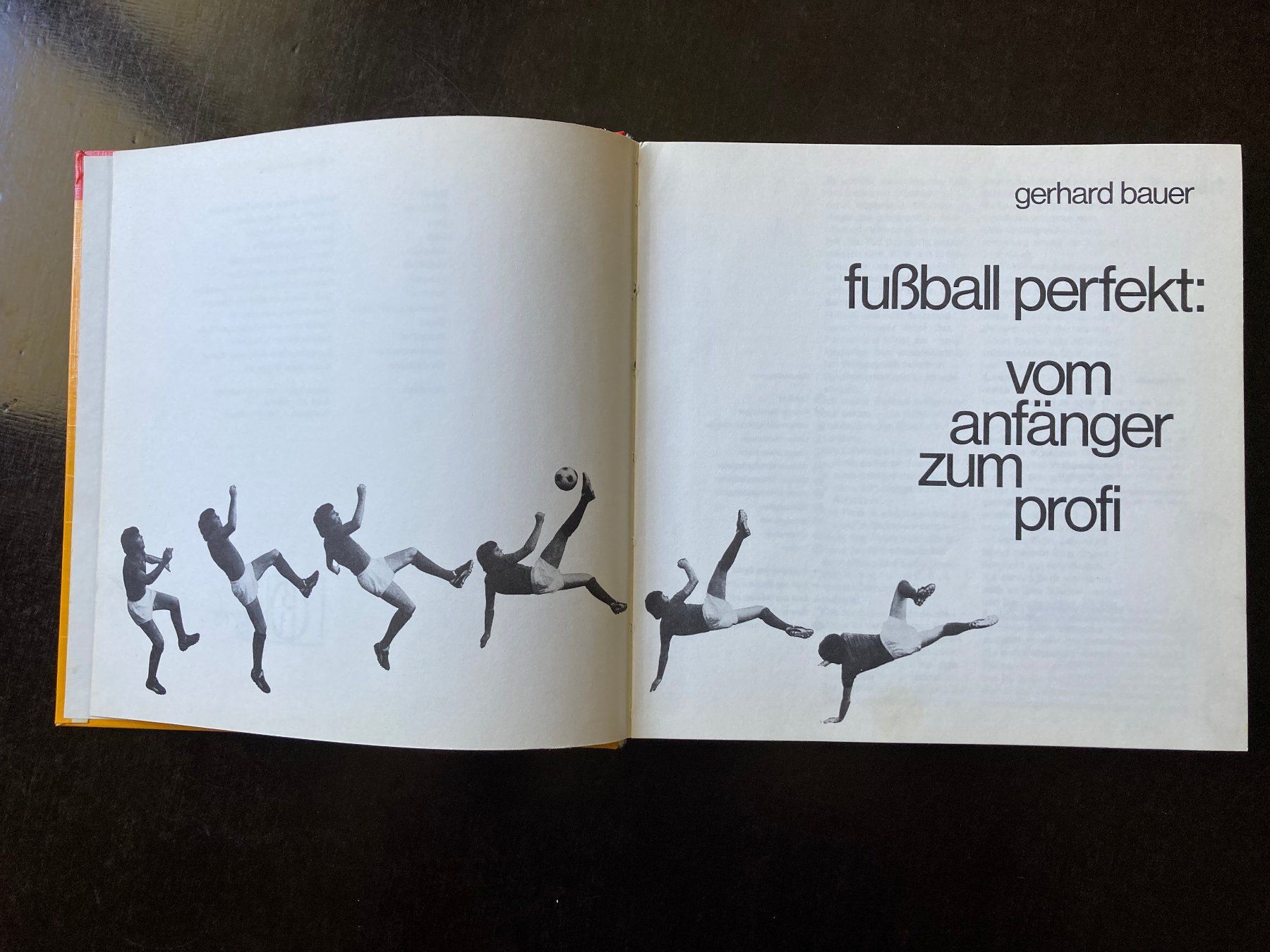 Libri: fußball perfekt: vom anfänger zum profi. – Usato da zürich venduto da Tombola8 1