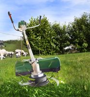 Benzin Freischneider Rasentrimmer NEU & OVP