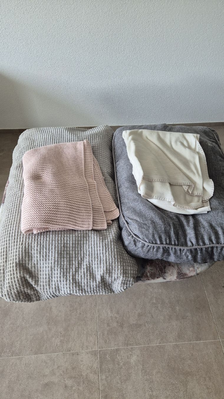 Cucce & Letti: Hundebetten und Duvet – Usato da Klingnau venduto da putinocchio 1
